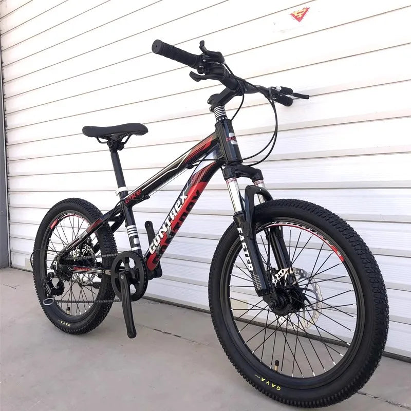 Kids’ 20-Inch Alloy Mountain Bike