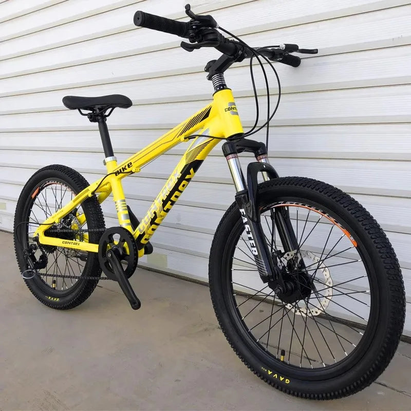 Kids’ 20-Inch Alloy Mountain Bike