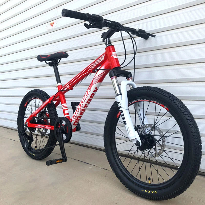 Kids’ 20-Inch Alloy Mountain Bike
