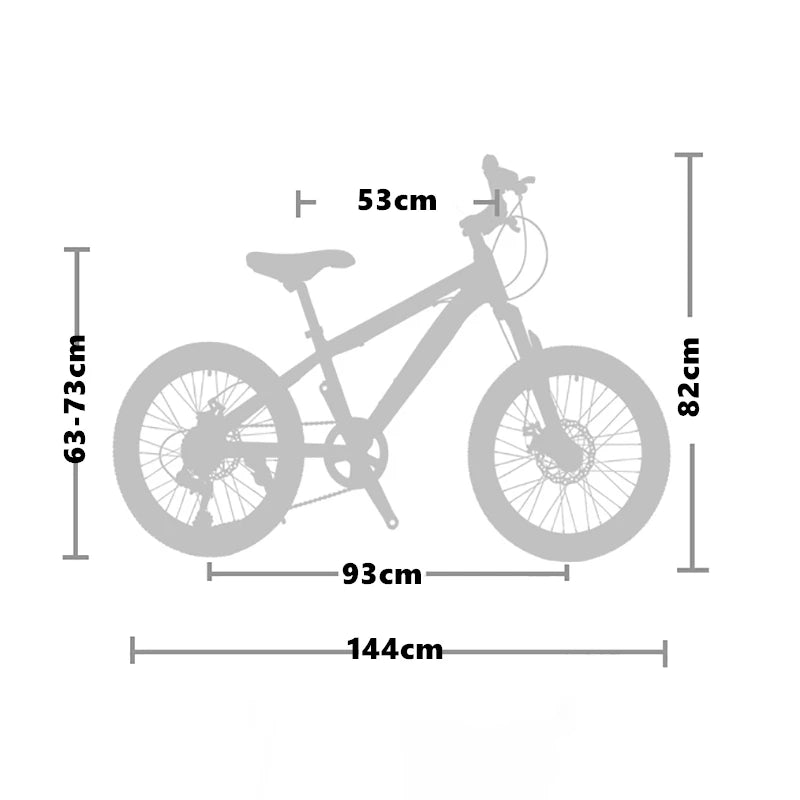 Kids’ 20-Inch Alloy Mountain Bike